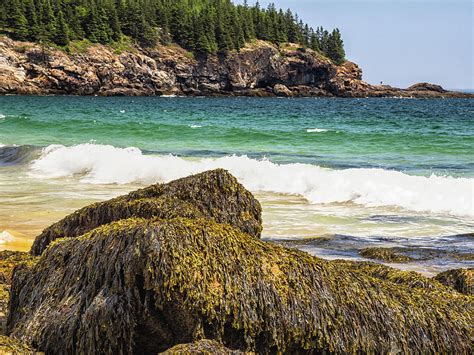 Sand Beach @ Acadia Maine Photograph by Linda Pulvermacher | Fine Art ...