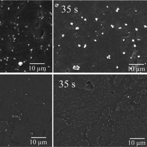 Sem Pure Al And Bei Al 5si Alloy Micrographs Of The Substrates