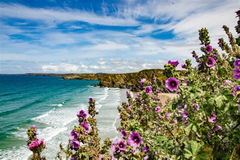 10 best holiday parks in Cornwall for families 2022 - Tin Box Traveller