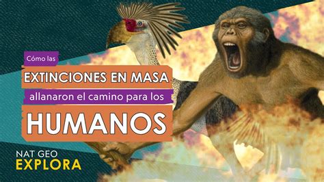 Cómo las extinciones en masa allanaron el camino para los humanos