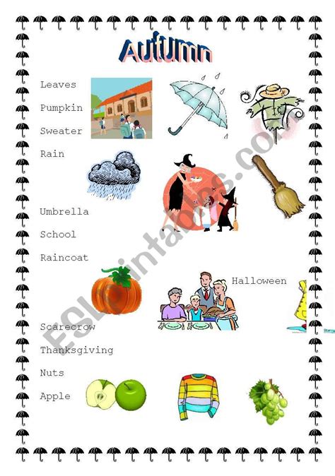 Autumn ESL Worksheet By Micuska23