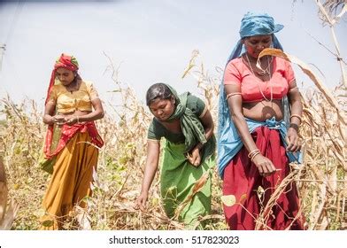 Jhabua Madhya Pradesh India 15 October Stock Photo 517829083 | Shutterstock