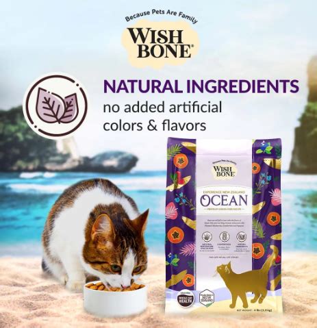 WishBone Cat Dry Food Ocean 1 8 Kg SKU 74439 Pet Talk Pte Ltd