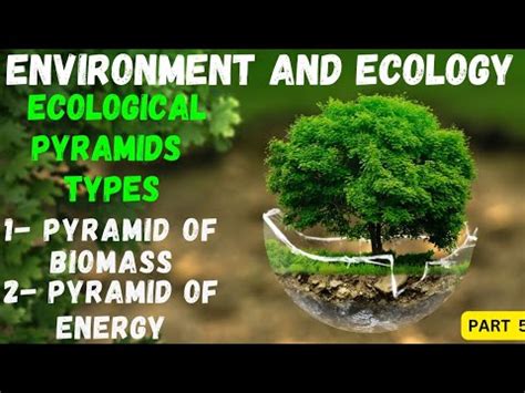 ECOLOGICAL PYRAMIDS Pyramid Of Biomass Energy Part6 UPSC CSE