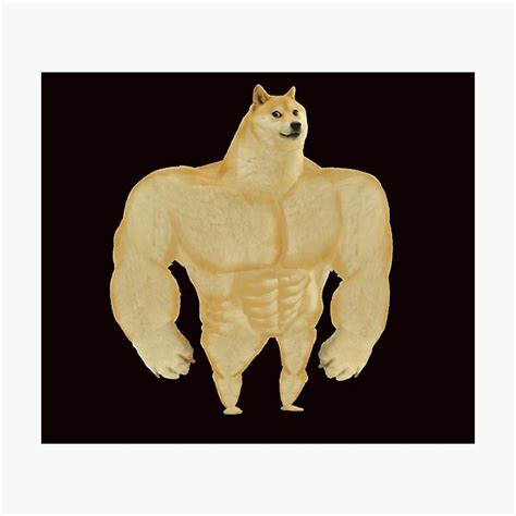 Swol Buff Doge Meme Photographic Print For Sale By Kawaii2cute