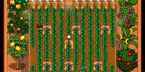 Stardew Valley Ways To Maximize Fall