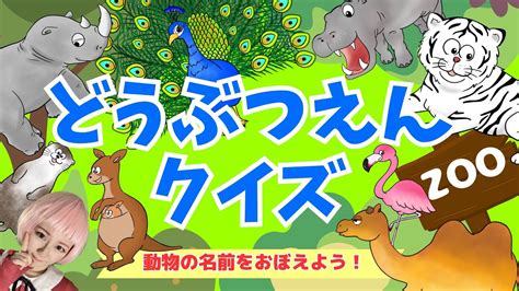 【子供向け】動物園クイズ｜ホワイトタイガー、サイ、カワウソ、カンガルー赤ちゃん喜ぶ！子供が喜ぶ！鳴き声付き｜animal ｜zoo