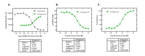 Figure 10 An Example Of Antagonist Concentration Response