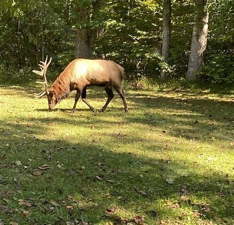 THE 15 BEST Things to Do in Cherokee - 2023 (with Photos) - Tripadvisor