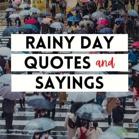 Rainy Day Quotes and Sayings to Brighten Your Day