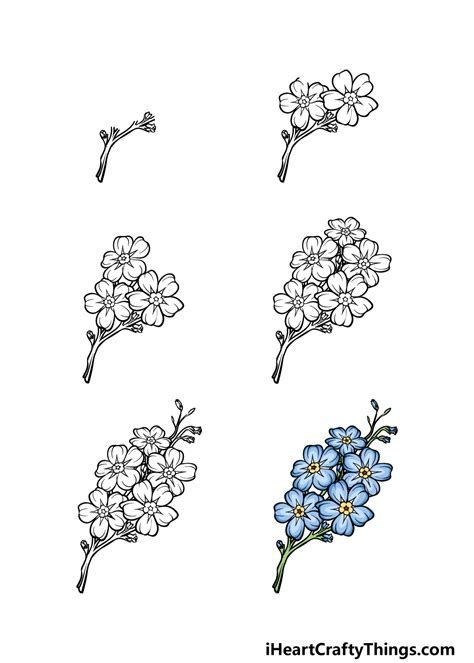 how to draw forget me nots