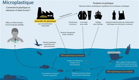 Pollution Des Fleuves Et Oc Ans Les Microplastiques Le Blog D