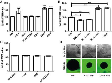 Barrier function examination of Caco-2 monolayer and colonic organoids ... 