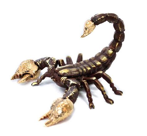 Scorpion Bronze Sculpture Frank Meisler Fine Art Metal Sculptures