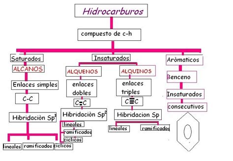 Realiza Un Esquema De Los Hidrocarburos Y Sus Ramificaciones Si