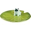 Amazon Grasslands Road Studio 100 Splash Of Color Lilypad 8 1 4