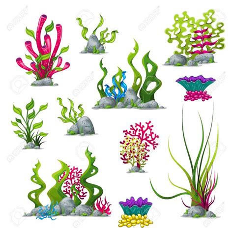 Set of different underwater plants. Stock Vector - 76233571 ...