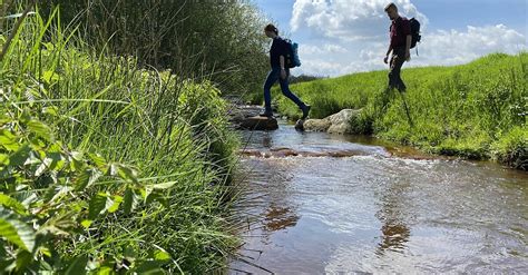 Ohetalrunde Hümmling Pfade BERGFEX Wanderung Tour Niedersachsen