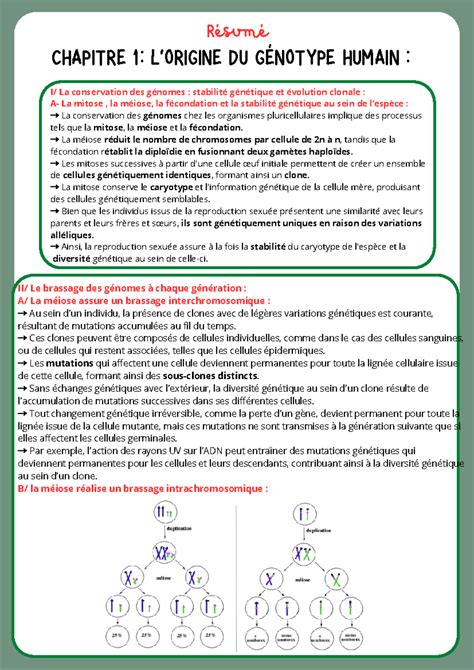 G N Tique R Sum Chapitre Lorigine Du G Notype Humain R Sum I