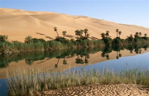 We can make the Sahara Desert green again through clean energy ...