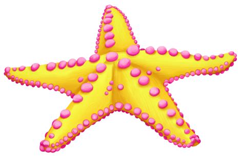 Starfish Clip art Sea Image - starfish png download - 1280*831 - Free Transparent Starfish png ...