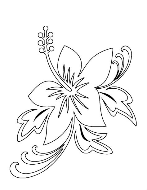 Plumeria Flower Coloring Pages at GetDrawings | Free download