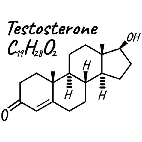 Testosterone Mechanism Of Action My Endo Consult