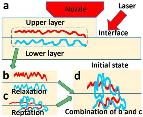 Schematic diagram of Reptation and Relaxation(a) Initial state ...