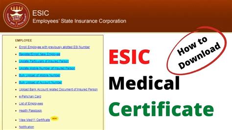 ESIC Registration Certificate C-11| How To Download Esic, 54% OFF