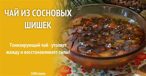 Чай из сосновых шишек рецепт с фото - 1000.menu