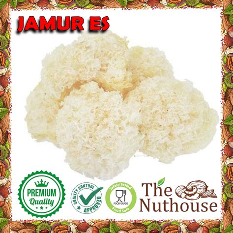 Jual 1pc 1 Biji 30g Jamur Es Super Jamur Salju Snow White