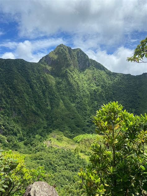 2023 Volcano Hike in St. Kitts provided by Jungle Bike Tours