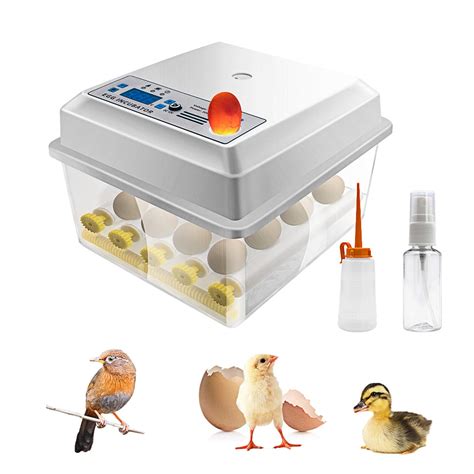 Safego Egg Incubator For Hatching Eggs Digital Mini Incubator With