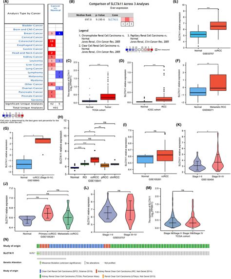 Slc7a11 Expression In Rcc Samples A Pan‐cancer Analysis Of Slc7a11