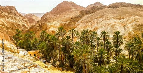 Mountain oasis Chebika in Sahara desert. Tunisia Stock Photo | Adobe Stock