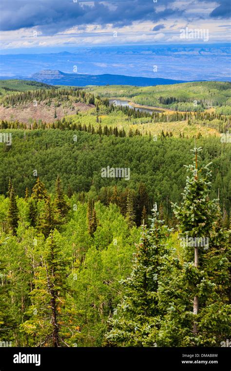 View west from Grand Mesa National Forest and Grand Mesa Lakes to ...