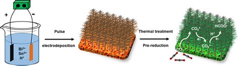 Schematic Illustration Of The Synthesis Process Of Dendritic Sn‐doped Download Scientific