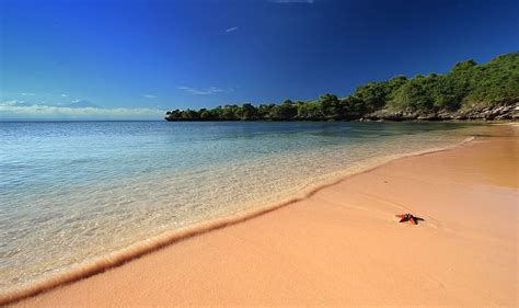 3200x900px | free download | HD wallpaper: lombok, pink, beach, summer ...