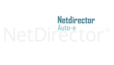 Netdirector Auto Screeching Halt