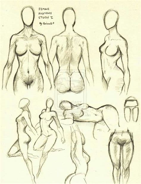 An Image Of Female Body Drawing