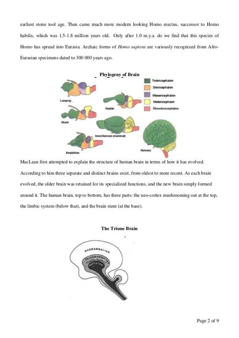 Evolution of human brain & mind