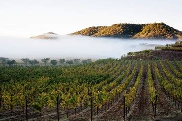 Accidental Gay Sex Stories Sennasve