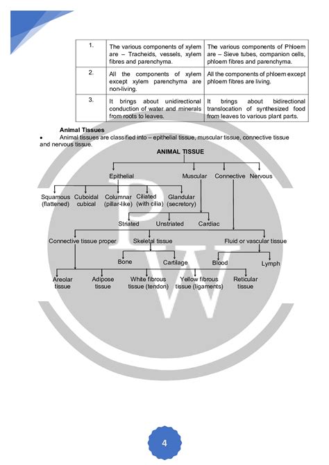 Short Notes And Key Points Of Class Biology Chapter Tissues Physics