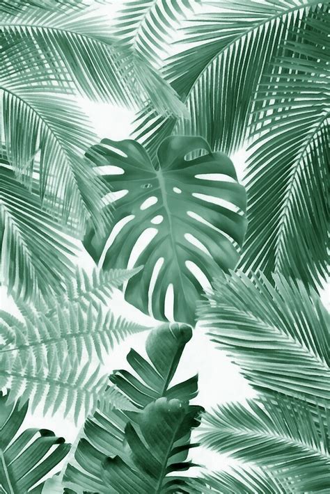 "Tropical Leaves Print" by banginT | Redbubble