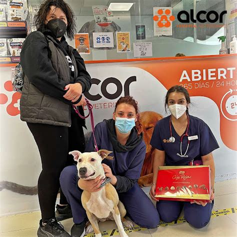 Alcor Clínica Veterinaria Alcala de Henares Horsepital