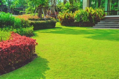 Achieving Healthy Grass With Proper Lawn Care Practices | MJR Landscape