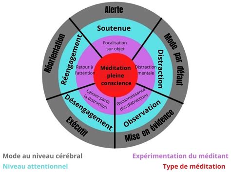 Comment Expliquer Les Effets De La M Ditation Pleine Conscience