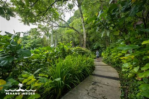 The Haven Ipoh: Luxe Rainforest Hotel in Ipoh Perak - Penang Insider