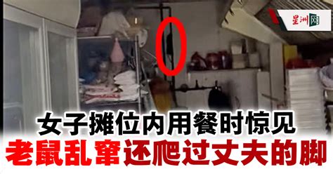 狮城购物中心 孕妇用餐惊见4只老鼠乱窜 地方 狮城二三事