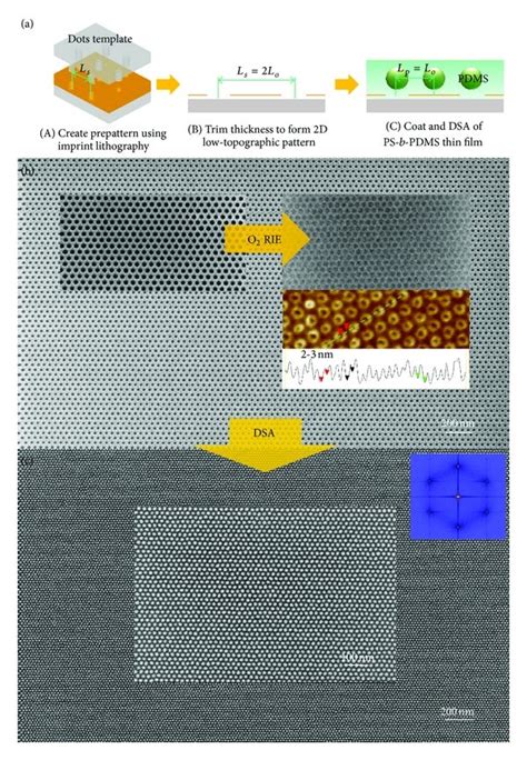 A Schematic Representation Of Directed Self Assembly Of Download Scientific Diagram